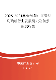 2025-2031年全球與中國天然洗碗精行業(yè)發(fā)展研究及前景趨勢報告