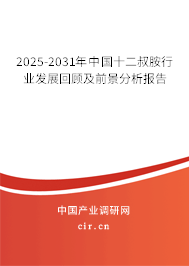 2025-2031年中國十二叔胺行業(yè)發(fā)展回顧及前景分析報告