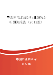 中國蓄電池細分行業(yè)研究分析預測報告(2012版) 中國蓄電池細分行業(yè)研究分析預測報告(2012版)