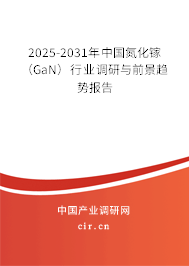 2025-2031年中國氮化鎵（GaN）行業(yè)調(diào)研與前景趨勢報告