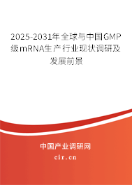 2025-2031年全球與中國(guó)GMP級(jí)mRNA生產(chǎn)行業(yè)現(xiàn)狀調(diào)研及發(fā)展前景 2025-2031年全球與中國(guó)GMP級(jí)mRNA生產(chǎn)行業(yè)現(xiàn)狀調(diào)研及發(fā)展前景