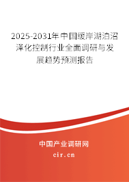 2025-2031年中國緩岸湖泊沼澤化控制行業(yè)全面調(diào)研與發(fā)展趨勢預(yù)測報告