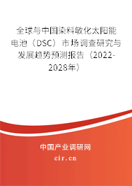 全球與中國染料敏化太陽能電池（DSC）市場調(diào)查研究與發(fā)展趨勢預測報告（2022-2028年）