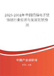2025-2031年中國掃描電子顯微鏡行業(yè)現(xiàn)狀與發(fā)展前景預(yù)測