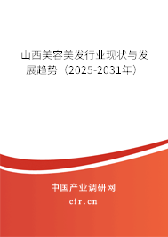 山西美容美發(fā)行業(yè)現狀與發(fā)展趨勢(2025-2031年) 山西美容美發(fā)行業(yè)現狀與發(fā)展趨勢(2025-2031年)