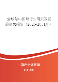 全球與中國芴行業(yè)研究及發(fā)展趨勢報告(2025-2031年) 全球與中國芴行業(yè)研究及發(fā)展趨勢報告(2025-2031年)