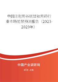 中國注射用谷胱甘肽用藥行業(yè)市場前景預(yù)測報告（2023-2029年）