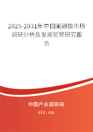 2025-2031年中國氟硼酸市場調(diào)研分析及發(fā)展前景研究報告 2025-2031年中國氟硼酸市場調(diào)研分析及發(fā)展前景研究報告
