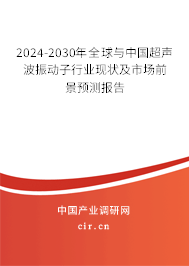 2024-2030年全球與中國超聲波振動子行業(yè)現(xiàn)狀及市場前景預(yù)測報告