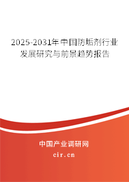 2025-2031年中國防垢劑行業(yè)發(fā)展研究與前景趨勢報告 2025-2031年中國防垢劑行業(yè)發(fā)展研究與前景趨勢報告