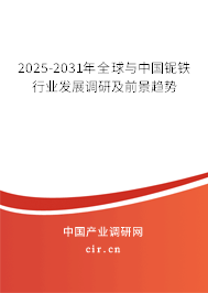 2025-2031年全球與中國鈮鐵行業(yè)發(fā)展調(diào)研及前景趨勢
