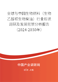 全球與中國生物燃料（生物乙醇和生物柴油）行業(yè)現(xiàn)狀調(diào)研及發(fā)展前景分析報(bào)告（2024-2030年）
