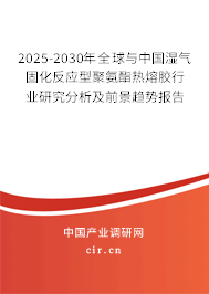 2025-2030年全球與中國濕氣固化反應(yīng)型聚氨酯熱熔膠行業(yè)研究分析及前景趨勢報告