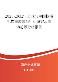 2025-2031年全球與中國(guó)挖掘機(jī)橡膠履帶板行業(yè)研究及市場(chǎng)前景分析報(bào)告