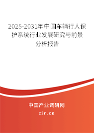 2025-2031年中國車輛行人保護(hù)系統(tǒng)行業(yè)發(fā)展研究與前景分析報(bào)告