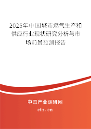 2025年中國城市燃氣生產(chǎn)和供應行業(yè)現(xiàn)狀研究分析與市場前景預測報告
