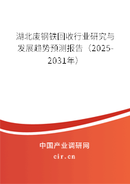 湖北廢鋼鐵回收行業(yè)研究與發(fā)展趨勢預(yù)測報告（2025-2031年）