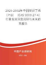 2025-2031年中國聚異丁烯（PIB）（CAS 9003-27-4）行業(yè)發(fā)展深度調(diào)研與未來趨勢報告