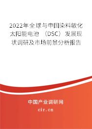 2022年全球與中國染料敏化太陽能電池 (DSC)發(fā)展現(xiàn)狀調(diào)研及市場前景分析報告 2022年全球與中國染料敏化太陽能電池 (DSC)發(fā)展現(xiàn)狀調(diào)研及市場前景分析報告