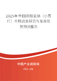 2025年中國碳酸氫鈉(小蘇打)市場調(diào)查研究與發(fā)展前景預(yù)測報告 2025年中國碳酸氫鈉(小蘇打)市場調(diào)查研究與發(fā)展前景預(yù)測報告