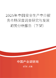 2025年中國安全生產(chǎn)中介服務(wù)市場深度調(diào)查研究與發(fā)展趨勢分析報(bào)告（下架）