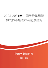 2025-2031年中國半導(dǎo)體用特種氣體市場(chǎng)現(xiàn)狀與前景趨勢(shì) 2025-2031年中國半導(dǎo)體用特種氣體市場(chǎng)現(xiàn)狀與前景趨勢(shì)