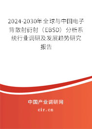 2024-2030年全球與中國電子背散射衍射(EBSD)分析系統(tǒng)行業(yè)調(diào)研及發(fā)展趨勢研究報告 2024-2030年全球與中國電子背散射衍射(EBSD)分析系統(tǒng)行業(yè)調(diào)研及發(fā)展趨勢研究報告