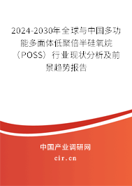 2024-2030年全球與中國多功能多面體低聚倍半硅氧烷（POSS）行業(yè)現(xiàn)狀分析及前景趨勢報告