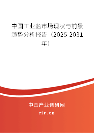 中國工業(yè)鹽市場現(xiàn)狀與前景趨勢分析報告（2025-2031年）