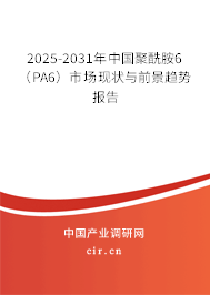 2025-2031年中國(guó)聚酰胺6(PA6)市場(chǎng)現(xiàn)狀與前景趨勢(shì)報(bào)告 2025-2031年中國(guó)聚酰胺6(PA6)市場(chǎng)現(xiàn)狀與前景趨勢(shì)報(bào)告