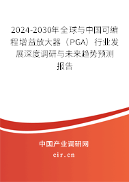 2024-2030年全球與中國可編程增益放大器（PGA）行業(yè)發(fā)展深度調(diào)研與未來趨勢預(yù)測報告