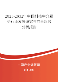 2025-2031年中國科技中介服務(wù)行業(yè)發(fā)展研究與前景趨勢分析報告