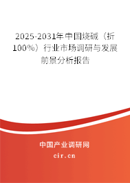 2025-2031年中國(guó)燒堿（折100％）行業(yè)市場(chǎng)調(diào)研與發(fā)展前景分析報(bào)告