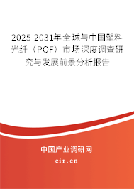 2025-2031年全球與中國塑料光纖（POF）市場深度調(diào)查研究與發(fā)展前景分析報告
