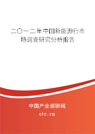 二〇一二年中國新能源行市場調(diào)查研究分析報告 二〇一二年中國新能源行市場調(diào)查研究分析報告