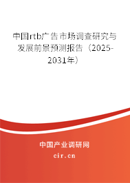 中國(guó)rtb廣告市場(chǎng)調(diào)查研究與發(fā)展前景預(yù)測(cè)報(bào)告（2025-2031年）