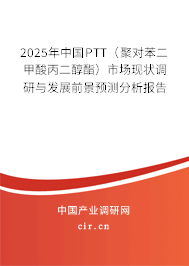 2025年中國(guó)PTT(聚對(duì)苯二甲酸丙二醇酯)市場(chǎng)現(xiàn)狀調(diào)研與發(fā)展前景預(yù)測(cè)分析報(bào)告 2025年中國(guó)PTT(聚對(duì)苯二甲酸丙二醇酯)市場(chǎng)現(xiàn)狀調(diào)研與發(fā)展前景預(yù)測(cè)分析報(bào)告
