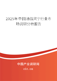 2025年中國通益風(fēng)寧行業(yè)市場調(diào)研分析報(bào)告