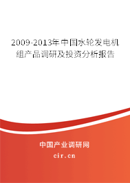 2009-2013年中國水輪發(fā)電機組產(chǎn)品調(diào)研及投資分析報告
