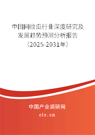 中國(guó)網(wǎng)紋瓜行業(yè)深度研究及發(fā)展趨勢(shì)預(yù)測(cè)分析報(bào)告（2025-2031年）