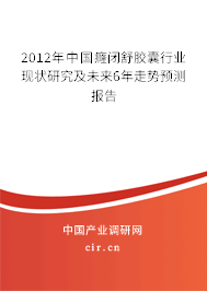 2012年中國癃閉舒膠囊行業(yè)現(xiàn)狀研究及未來6年走勢預(yù)測報(bào)告 2012年中國癃閉舒膠囊行業(yè)現(xiàn)狀研究及未來6年走勢預(yù)測報(bào)告