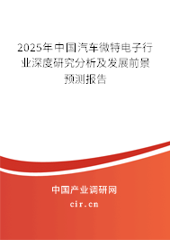 2025年中國汽車微特電子行業(yè)深度研究分析及發(fā)展前景預(yù)測報告 2025年中國汽車微特電子行業(yè)深度研究分析及發(fā)展前景預(yù)測報告
