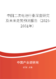 中國二次電池行業(yè)深度研究及未來走勢預測報告(2025-2031年) 中國二次電池行業(yè)深度研究及未來走勢預測報告(2025-2031年)