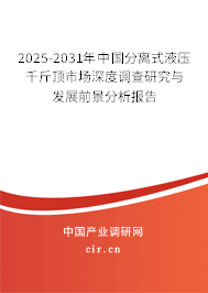 2025-2031年中國(guó)分離式液壓千斤頂市場(chǎng)深度調(diào)查研究與發(fā)展前景分析報(bào)告 2025-2031年中國(guó)分離式液壓千斤頂市場(chǎng)深度調(diào)查研究與發(fā)展前景分析報(bào)告