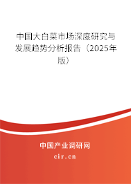 中國大白菜市場深度研究與發(fā)展趨勢分析報告（2024年版）