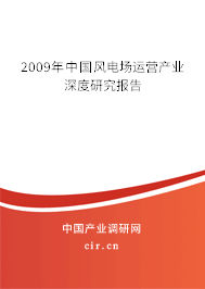2009年中國風(fēng)電場運營產(chǎn)業(yè)深度研究報告
