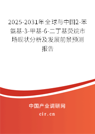 2025-2031年全球與中國2-苯氨基-3-甲基-6-二丁基熒烷市場現(xiàn)狀分析及發(fā)展前景預(yù)測報告