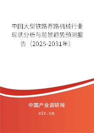 中國(guó)大型鐵路養(yǎng)路機(jī)械行業(yè)現(xiàn)狀分析與前景趨勢(shì)預(yù)測(cè)報(bào)告（2025-2031年）