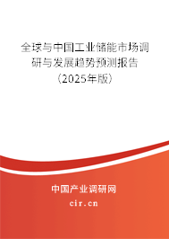 全球與中國工業(yè)儲(chǔ)能市場調(diào)研與發(fā)展趨勢預(yù)測報(bào)告（2025年版）