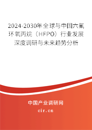 2024-2030年全球與中國(guó)六氟環(huán)氧丙烷(HFPO)行業(yè)發(fā)展深度調(diào)研與未來趨勢(shì)分析 2024-2030年全球與中國(guó)六氟環(huán)氧丙烷(HFPO)行業(yè)發(fā)展深度調(diào)研與未來趨勢(shì)分析